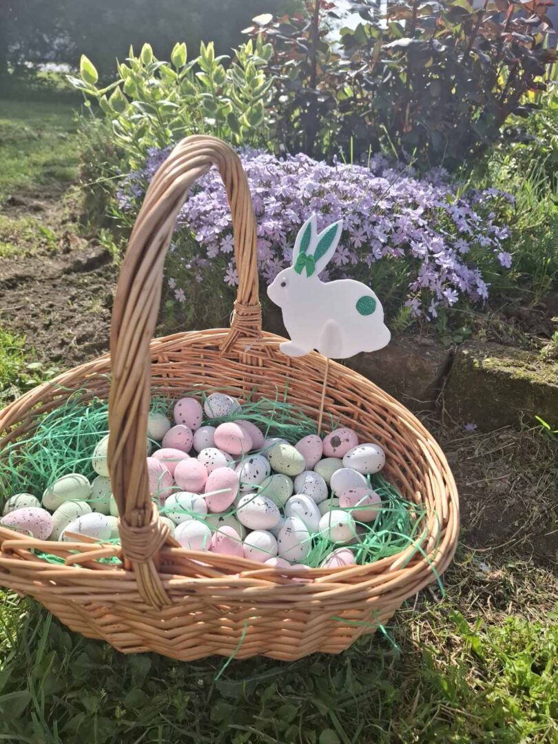 viber_slika_2025-04-16_11-25-00-101