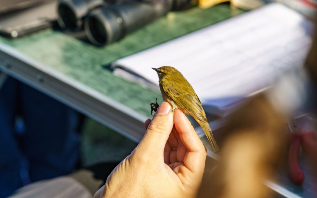 Pozdravili smo jesen obilježavanje Svjetskog dana ptica selica