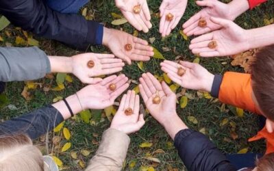 Procvali šafrani – poruka mira i sjećanja u OŠ „Ivan Kozarac“