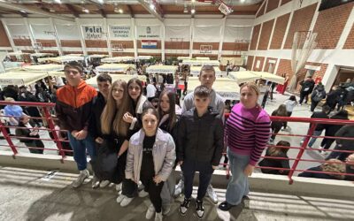 Dan otvorenih vrata srednjih škola grada Vinkovaca 2026.