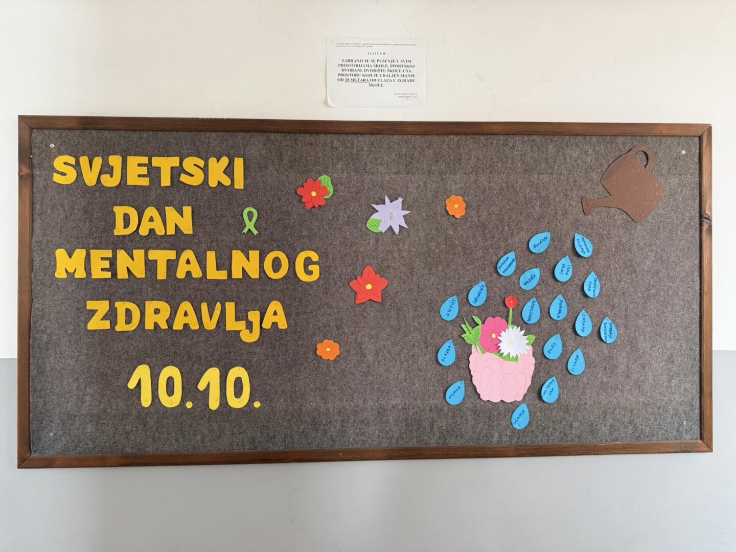 mentalno zdravlje